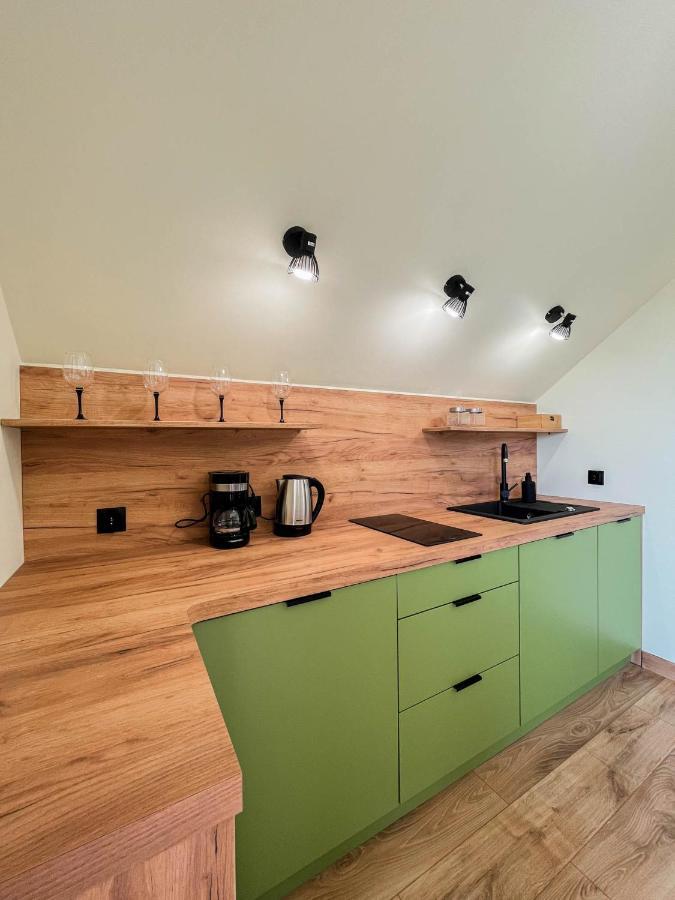 Apartament Ptasi Spiew رابكا المظهر الخارجي الصورة